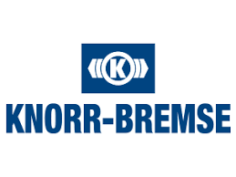 Knorr